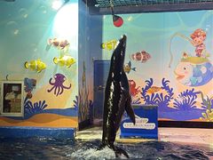 -太平洋海底世界