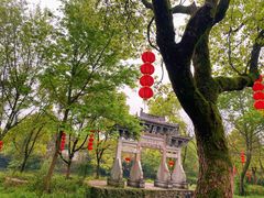 -西溪国家湿地公园