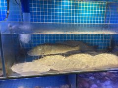 -前王院•巧克力海鲜市集餐厅(万平口店)