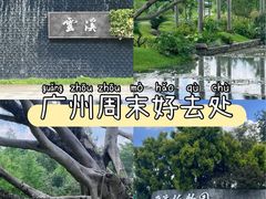 -云溪植物园