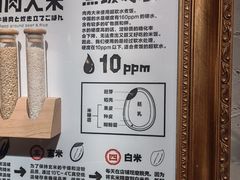 -肉肉大米(金虹桥店)