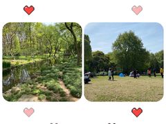 -上海共青森林公园