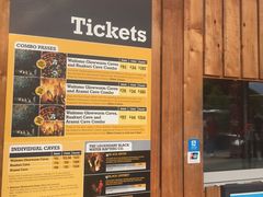 -怀托摩萤火虫洞