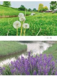 -圣露庄园·草坪婚礼·宴会厅·会议