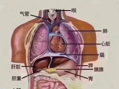 -正清和·推拿养生(第五郡店)