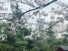 -堤角公园