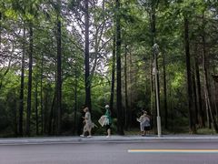 -日照海滨国家森林公园