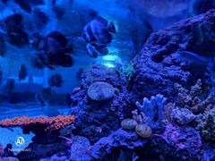 -成都浩海立方海洋公园