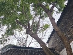 -南京市民俗博物馆(甘熙故居)