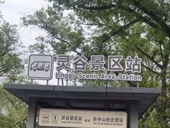 -灵谷景区