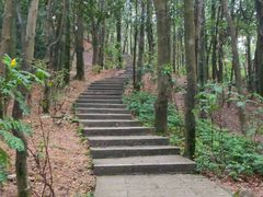 -阳台山森林公园