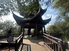 -仙霞关景区