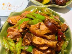 尖椒炒肘子-京城·森鸽排档(双井店)