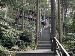 -宁海森林温泉