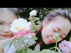 -南山植物园