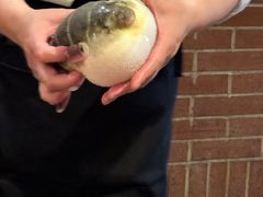 -永安鱼庄·镇江菜(丁卯店)