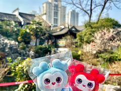 -南京市民俗博物馆(甘熙故居)
