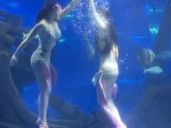 -江和美海洋公园