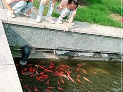 -宜春禅都文化博览园