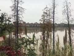 景点-美的鹭湖森林度假区