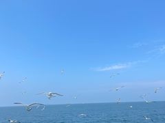 -海驴岛(荣成市)