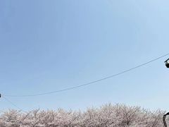 -同济大学(嘉定校区)