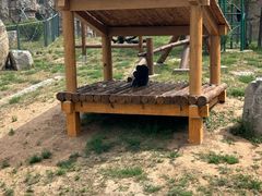 -石家庄市动物园