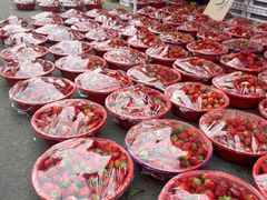 -上海浦南农副产品批发市场