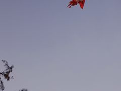 -四海公园(南山区)