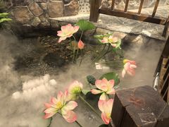 -山芋腔苏北菜(盐城滨海店)