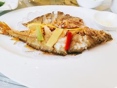 -骏莱海鲜鱼港(五角场店)