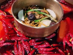 -蜀九香火锅(玉林店)