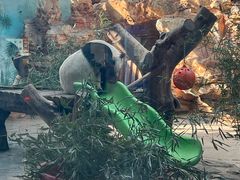 -石家庄市动物园