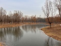 -东郊湿地公园