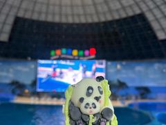 -泉城欧乐堡海洋极地世界