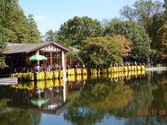 -绿荫坊餐厅(共青森林公园店)