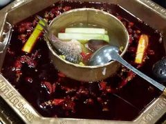 -蜀九香火锅(彩虹店)