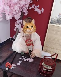 -浮生梦·百里长安汉服体验·化妆造型(永宁门skp店)