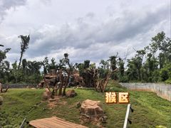 -海南热带野生动植物园