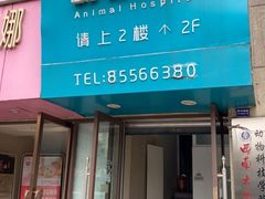 -谐和益家动物医院·免疫绝育·血液透析·宠保定点医院(高新伊藤分院)