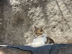 -天津盘山风景名胜区