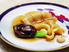 焗溏心干鲍白花胶-潮汕味道·煮海餐厅(金麟大厦店)