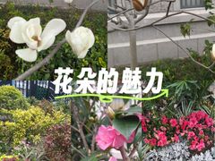 -上海市控江中学