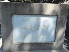 -西海子公园