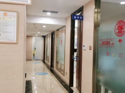 -碧莲盛·不剃发植发