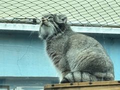 -青藏高原野生动物园