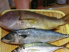 -镹·鱼料理  国产鱼使用店