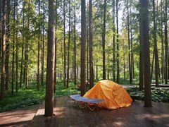 -黄海国家森林公园