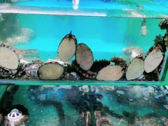 -蟹谢蒸鲜自助餐厅