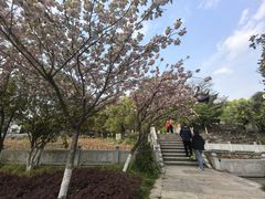 -丝绸小镇荻港古村